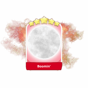 Boomin' 5 Stars Set 19