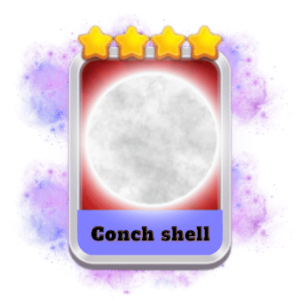 Conch shell