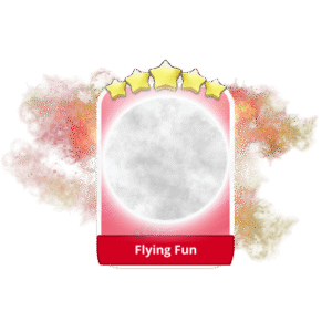 Flying Fun 5 Stars Set 19
