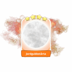 Jordgubbstårta 4 Stars Set 13