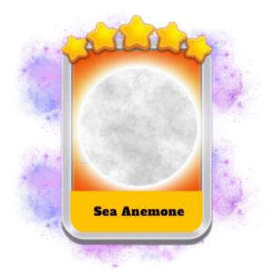 Sea Anemone