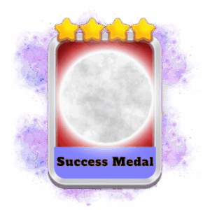 Success Medal 4 Stars Set 8