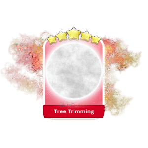 Tree Trimming 5 Stars Set 21