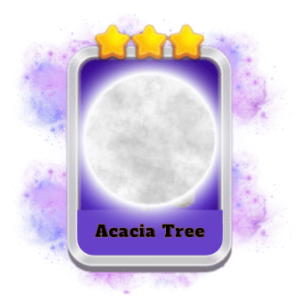 Acacia Tree