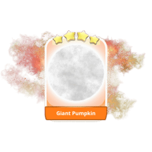 Giant Pumpkin 4 Stars Set 17